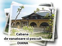 Cabana de vanatoare si pescuit Diana, Portaresti - Dolj